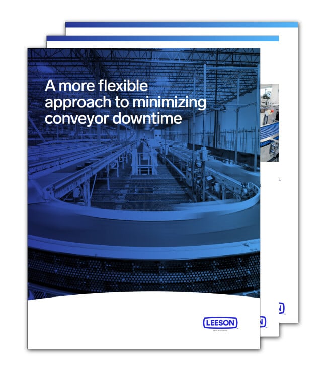 Flexible-Approach-to-Conveyor-Downtime